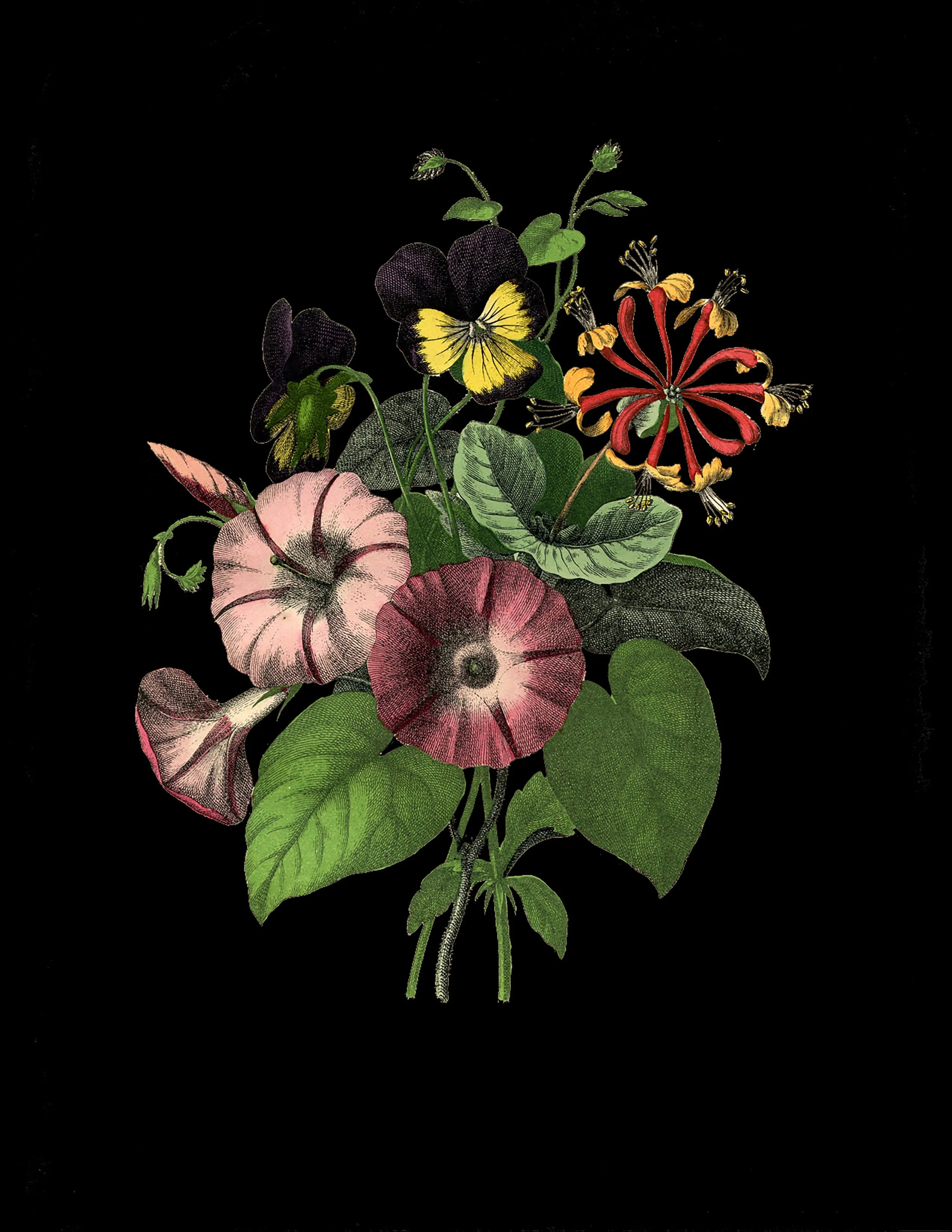 Botanical Flowers Print