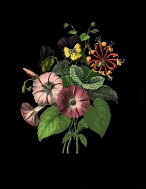 Botanical Flowers Print
