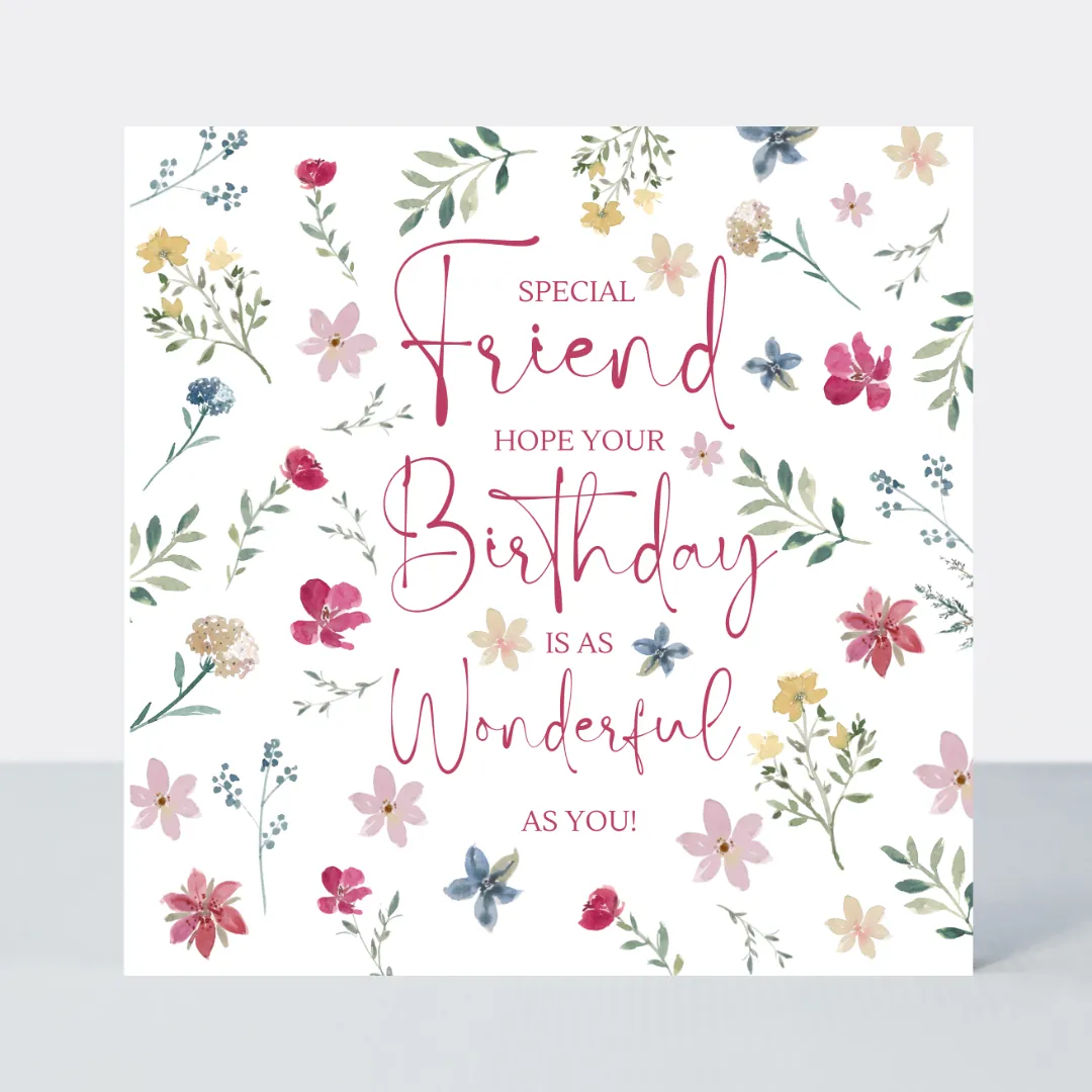 Everglade Friend Wonderful Birthday Card