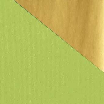 Kraft Colours Double-sided Counter Roll - Chartreuse/Gold