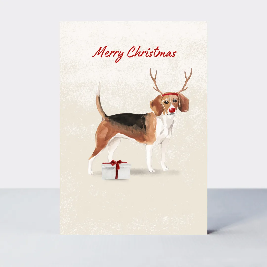Pawfect Christmas Beagle Card