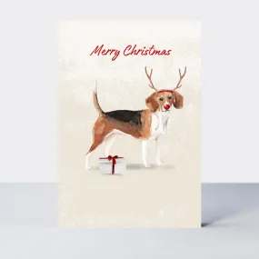 Pawfect Christmas Beagle Card