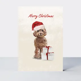 Pawfect Christmas Cockapoo Card
