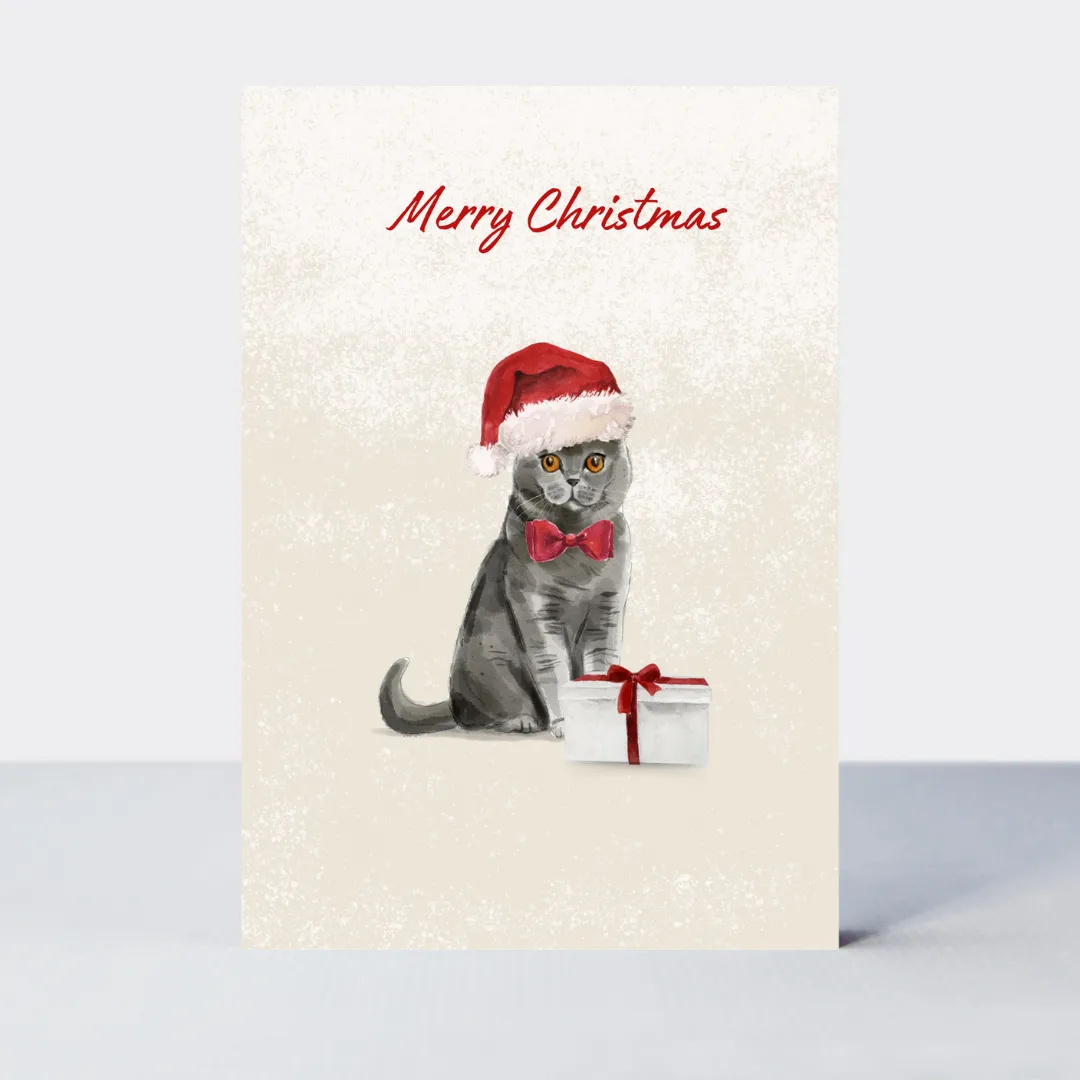 Pawfect Christmas Grey Cat Card