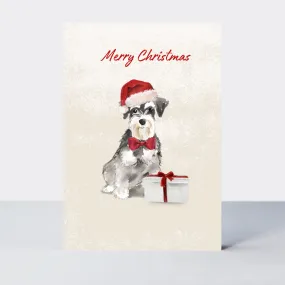 Pawfect Christmas Schnauzer Card
