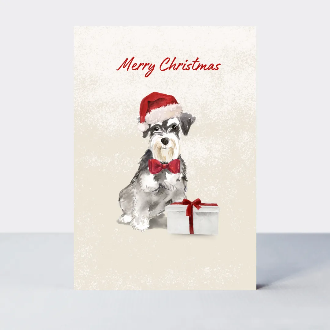 Pawfect Christmas Schnauzer Card
