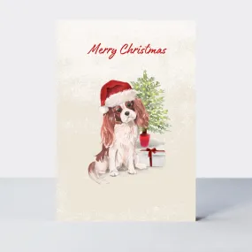 Pawfect Christmas Spaniel Card